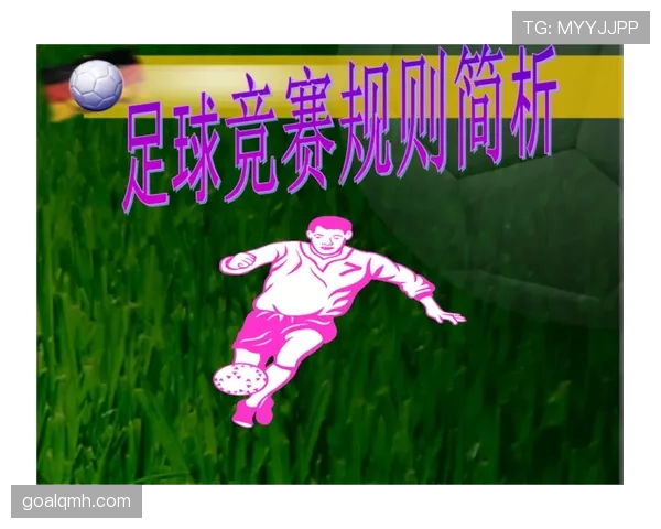 掷界外球的判罚规则与正确执行标准详解