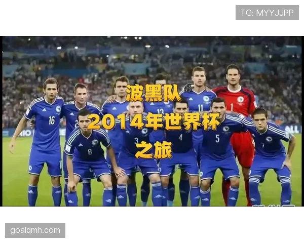 波黑冲击2026世界杯：晋级前景与阵容分析